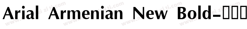 Arial Armenian New Bold字体转换